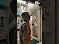 The Shisha Shop Vape Vaping Vapelife Hookah Gadget