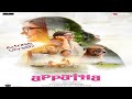 .Appatha Review Malayalam | Mallus View | Urvashi |  Priyadarshan |