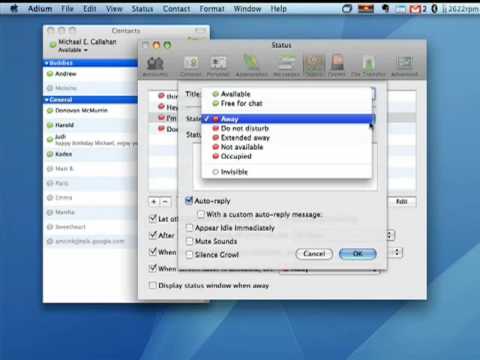 How to understand your online status in Adium
