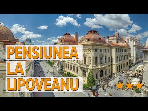 Pensiunea La Lipoveanu hotel review | Hotels in Dunavatu de Jos | Romanian Hotels