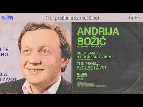 Andrija Bozic - Ti si prosla kroz moj zivot - (Audio 1980)