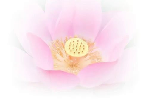 Thể hiện bởi Bảo Yến