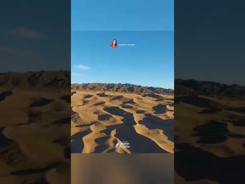 Uma Vida com Propósitos - Dia 5