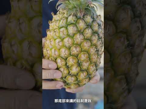 好運旺旺來採購必備知識?鳳梨篇