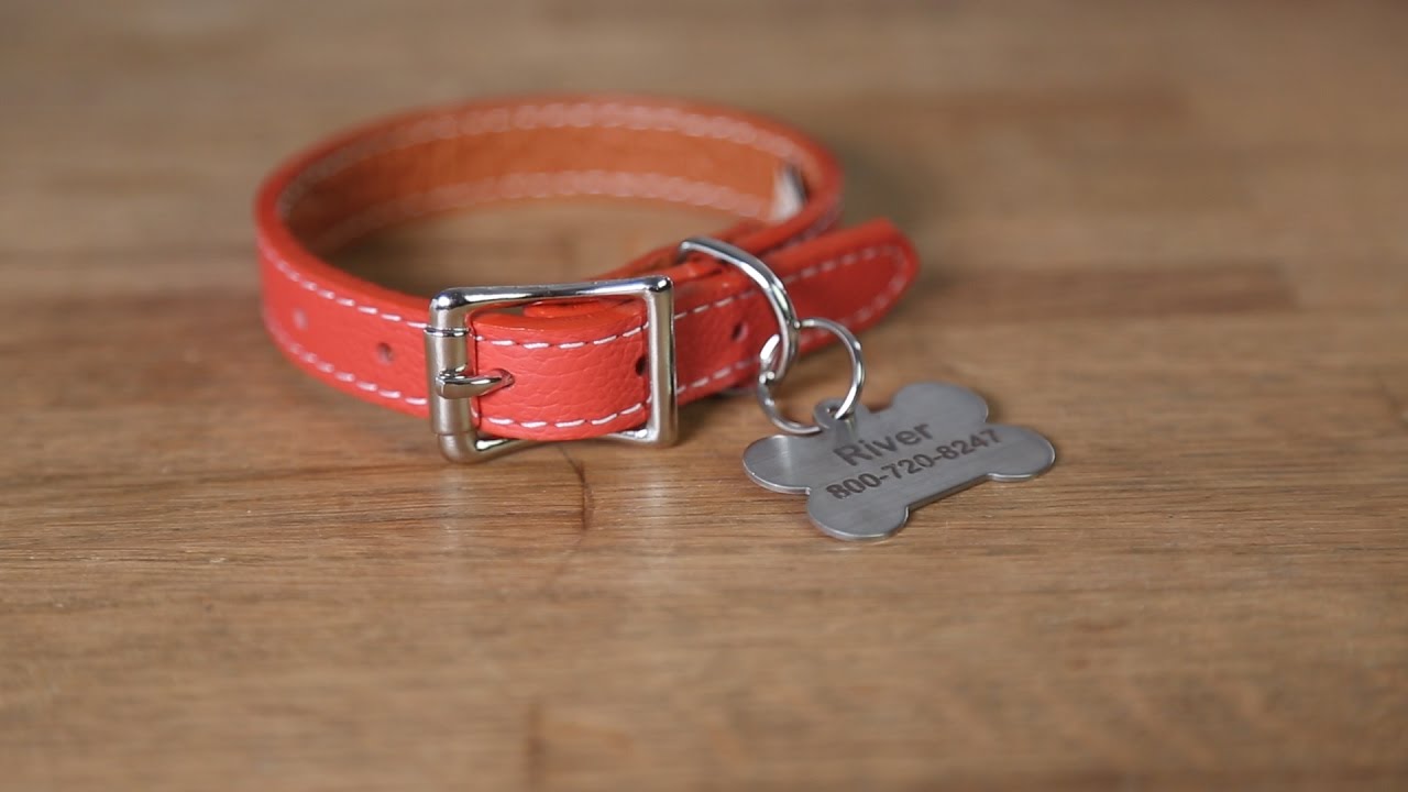 Watch video How To Attach A Hanging ID Tag Onto A Dog Collar Now How To Attach A Hanging ID Tag Onto A Dog Collar