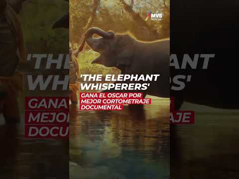 The Elephant Whisperes gana el Oscar por Mejor cortometraje documental #mvsnoticias #oscars