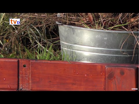 RAAD-VIDEO Oud-/Nieuwleusen [7] Waar staan we?