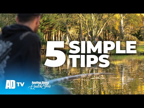 Improve Your Pole Rigs With These Top 5 Tips - Match fishing Quickbite
