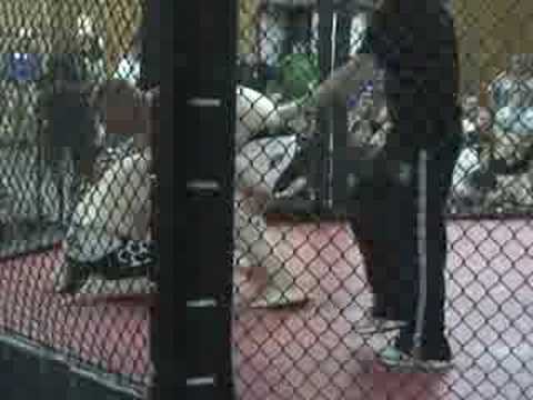 XMMA - Josh Fealy vs Charlie Arms (Round 1)