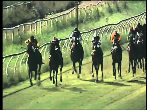 Galoppo 18/07/2015 - 6° corsa