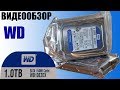 WD WD5000AZLX - видео