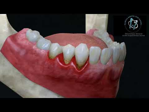 Juan Carlos Franco Miguel-7