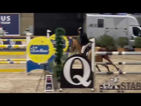 SX - Lot Sport - 145cm - Sentower