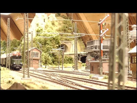 Auwiesen Betrieb - Motive als Hintergrund