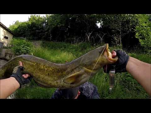 La notte dei Siluri vol 2.