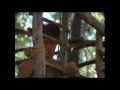 Amorphous Androgynous (FSOL) - The Band ...