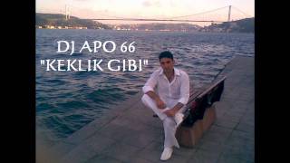 Keklik gibi kanadimi süzmedim