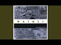 Cultfollwoing Instrumental