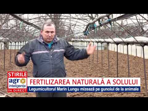 , title : 'Fertilizarea naturală pentru solul din solarul de legume'