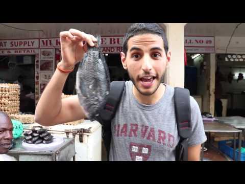 10日目：10日目に間に合った! (Day 10: I MADE IT TO 10 DAYS!)