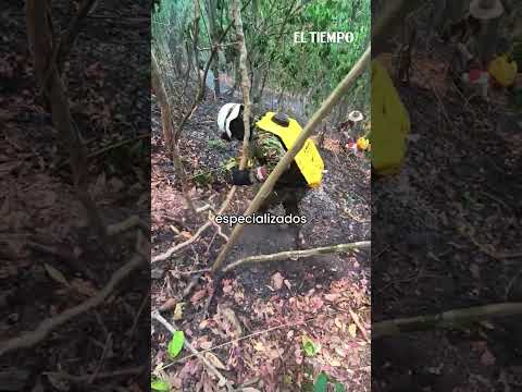 Incendio en Tolima: impactantes imágenes de cómo se vive la emergencia desde la vereda Sinaí