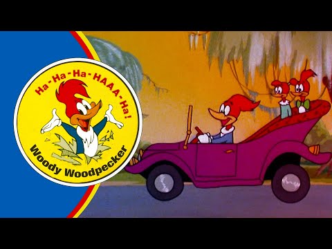 Woody Takes the Twins on Vacation  | Woody Woodpecker