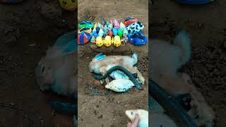 Download lagu 😭😭 kelinci, ikan mas, ikan sidat nya mati😭😭 #animals #shorts mp3 Download lagu 😭😭 kelinci, ikan mas, ikan sidat nya mati😭😭 #animals #shorts mp3