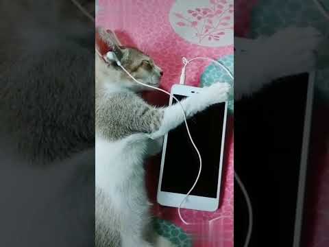 O leke pehla pehla pyar 😁