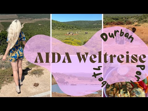 AIDA Weltreise 2023/24 - Elefanten und Zebras auf Safari 😍🦓 - VLOG 020