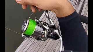 Stella shimano c3000