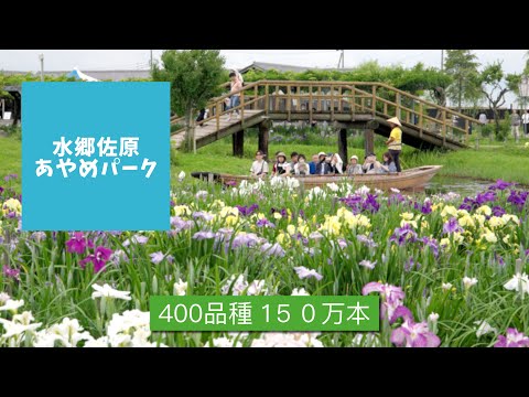 水郷佐原あやめパークはこんなところ
