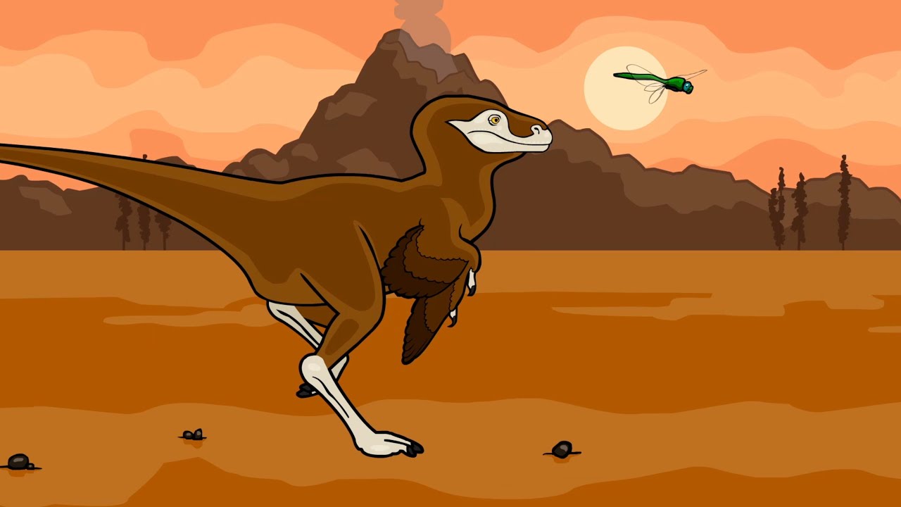 The Origin of Flight--What Use is Half a Wing? | HHMI BioInteractive Video