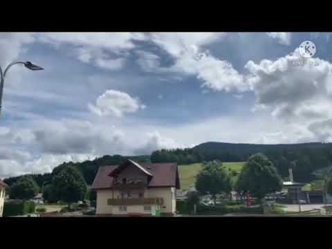 Enjoying rainy weather with beautiful flowers || cloudy rainy weather (sagheer vlogs 7733)