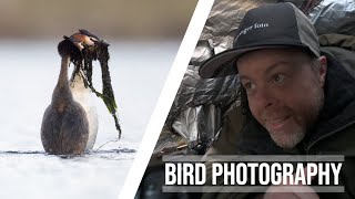 Speechless moment // BIRD PHOTOGRAPHY - Photographing waterfowl from ground blind