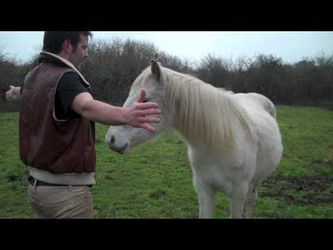 "The Quest for the US Bone" // Panteros666 - Kegstand EP - (Sound Pellegrino)