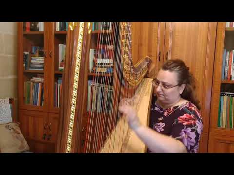 La Vita e Bella - N. Piovani ~ Lydia Buttigieg Harpist