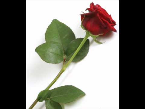 Mambo Kings -  Šarmer