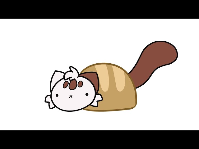 a day in the life of a cat