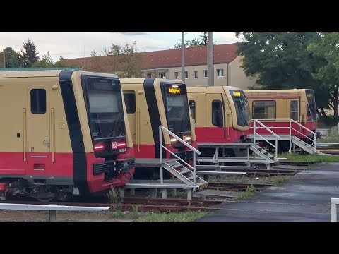 S-Bahn-Berlin: Einsatz der BR 483/484 von Berlin Ostbahnhof bis Erkner