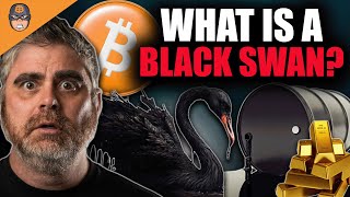 ULTIMATE BLACK SWAN Explained! (What You Can Do To Prep NOW)