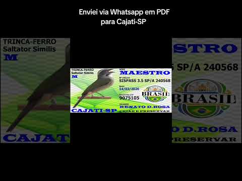 Enviei via Whatsapp em PDF para Cajati-SP 🔥🫅