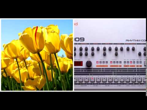 From the vault - "909 Flowers"