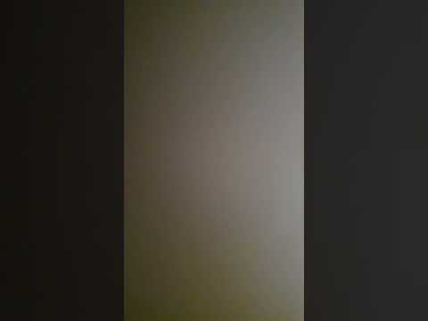 honey  Look at that baby with those cream puffs.   excuse me but...