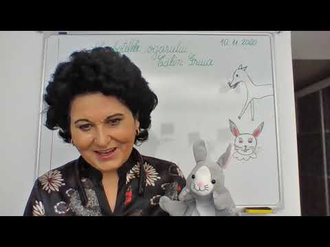 084, Lectii online, CLR, clasa a II-a - Ciubotelele ogarului