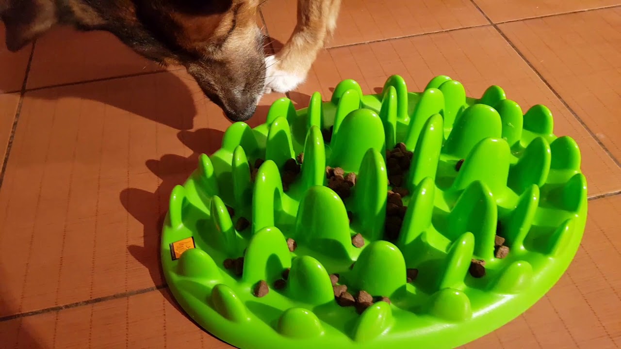 Green Slow Feeder - miska spowalniająca jedzenie, zielona