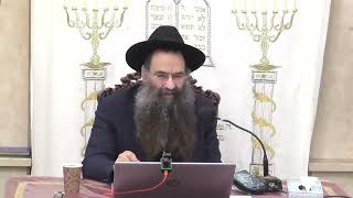 הרב עובדיה יוסף  •  קדושת הארץ (בית הכנסת מוסאיוף) - התמונה מוצגת ישירות מתוך אתר האינטרנט יוטיוב. זכויות היוצרים בתמונה שייכות ליוצרה. קישור קרדיט למקור התוכן נמצא בתוך דף הסרטון