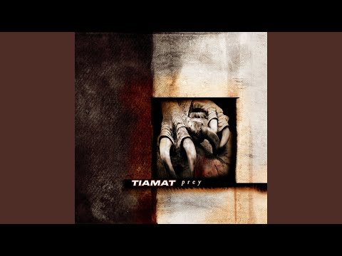 Divided - Tiamat