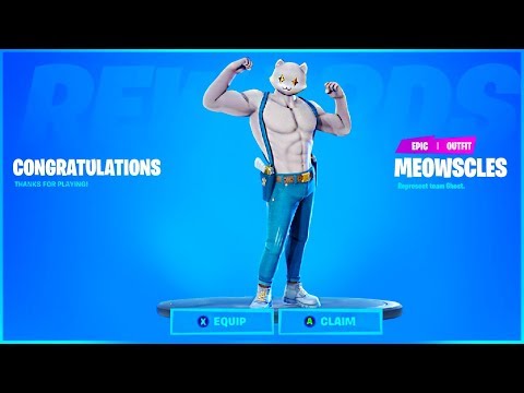 How To Get MEOWSCLES SHADOW or GHOST and MEOWSCLES MISCHIEF CHALLENGES in Fortnite!