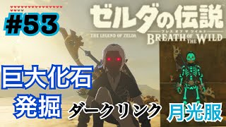 ゼルダの伝説BOW＃５３