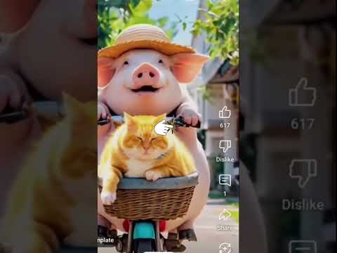 Funny Cat With Cute Pig#DramaCat #FunnyCatShorts #CatLifeUSA #PetParents #shorts_video